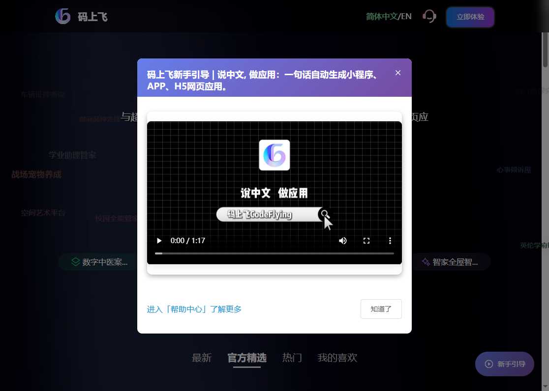 码上飞   网站截图