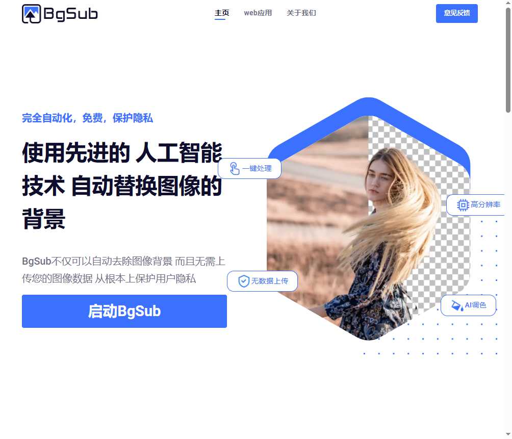 BgSub 网站截图